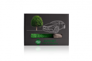 Green Fiber GlassAuto set